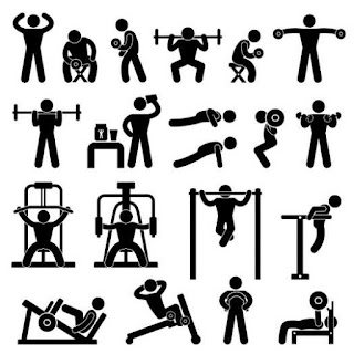 Weight Training Exercises