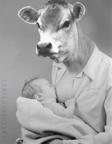 Gmo Milk