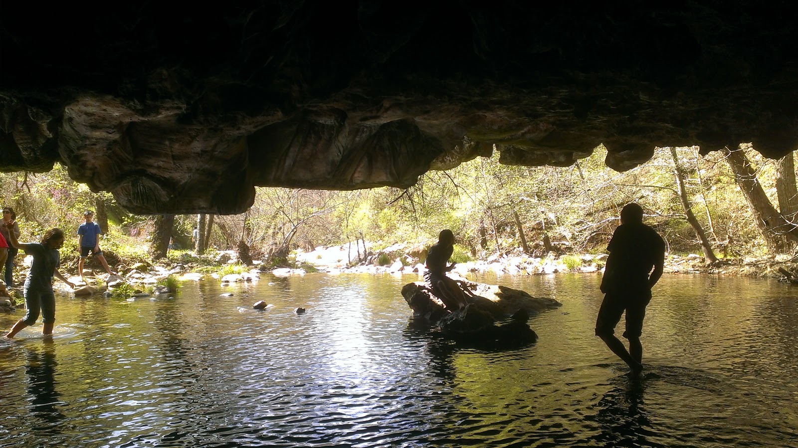 Natural Bridge Cavern (Angel's Camp)3 of 5 Googlenomics
