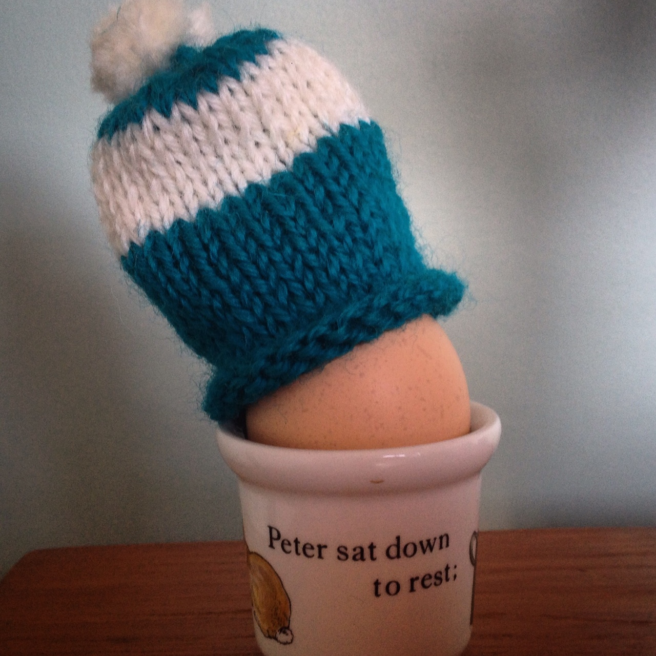 Egg Cozy Knitting Pattern A BeginnerFriendly Guide to Keep Your Eggs