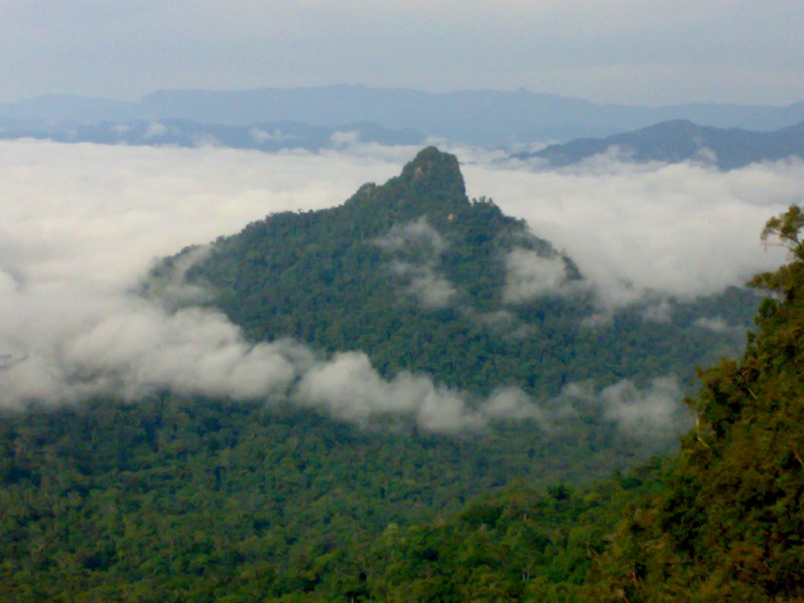 SUPARJAN T. URING @ Murung Raya Central Borneo - Indonesia: Pegunungan