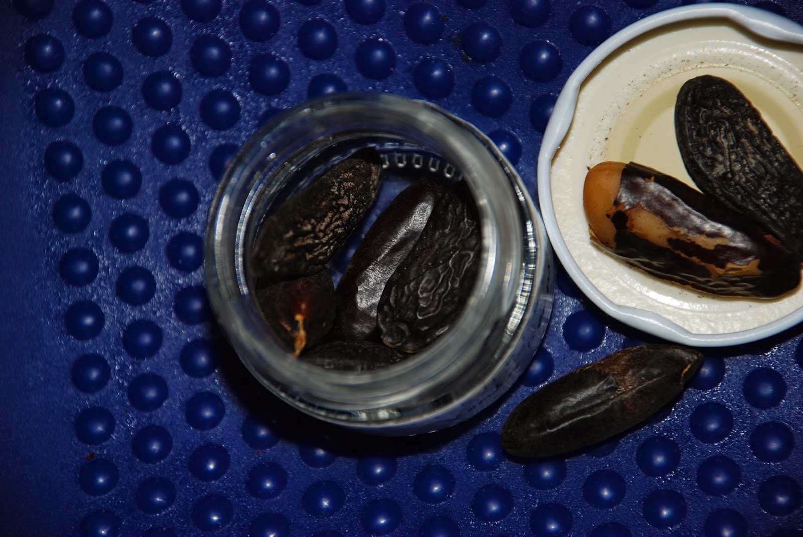 I Want My Umami Toying with Tonka Beans