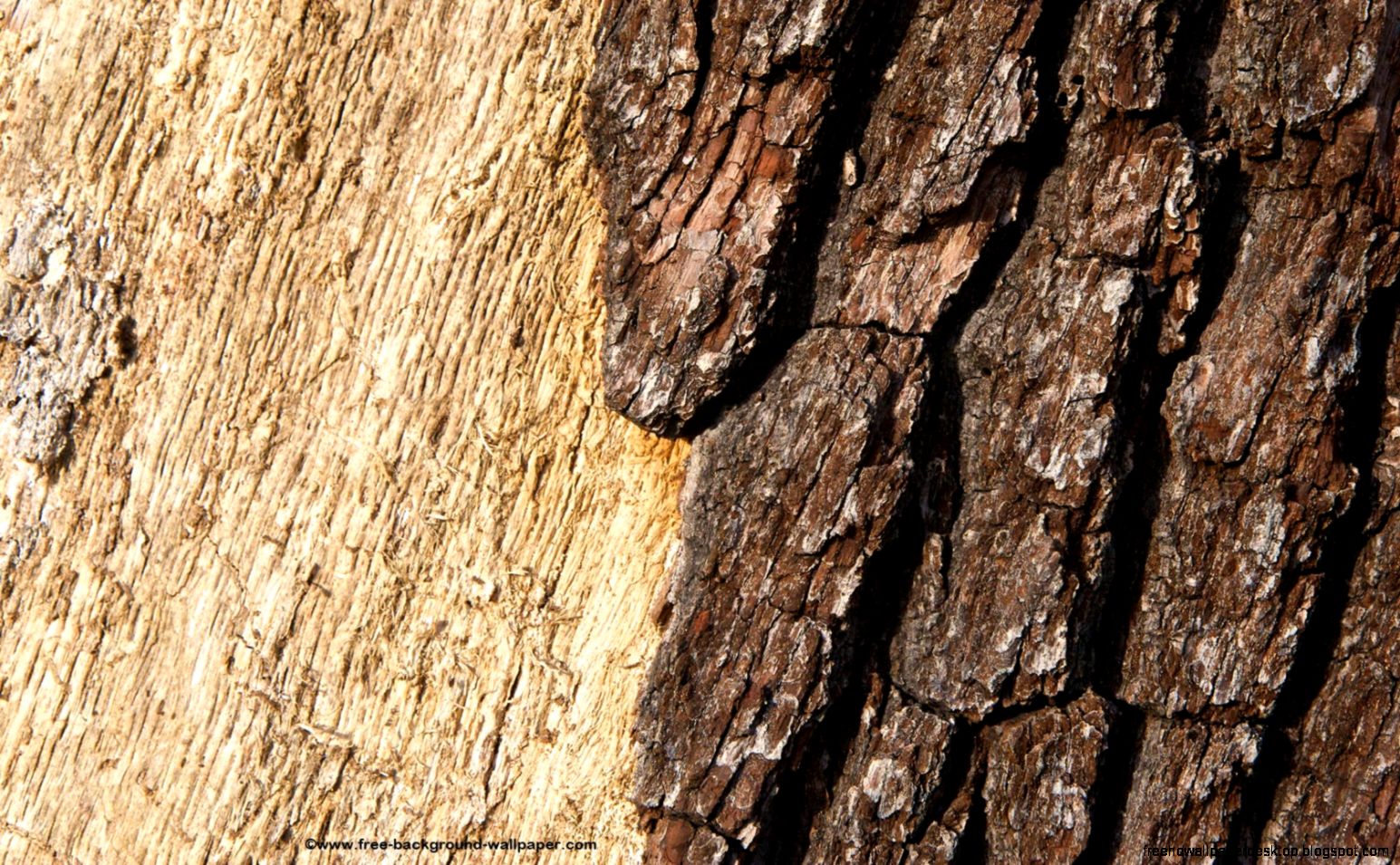 FunMozar – Wood Wallpapers FunMozar – Wood Wallpapers