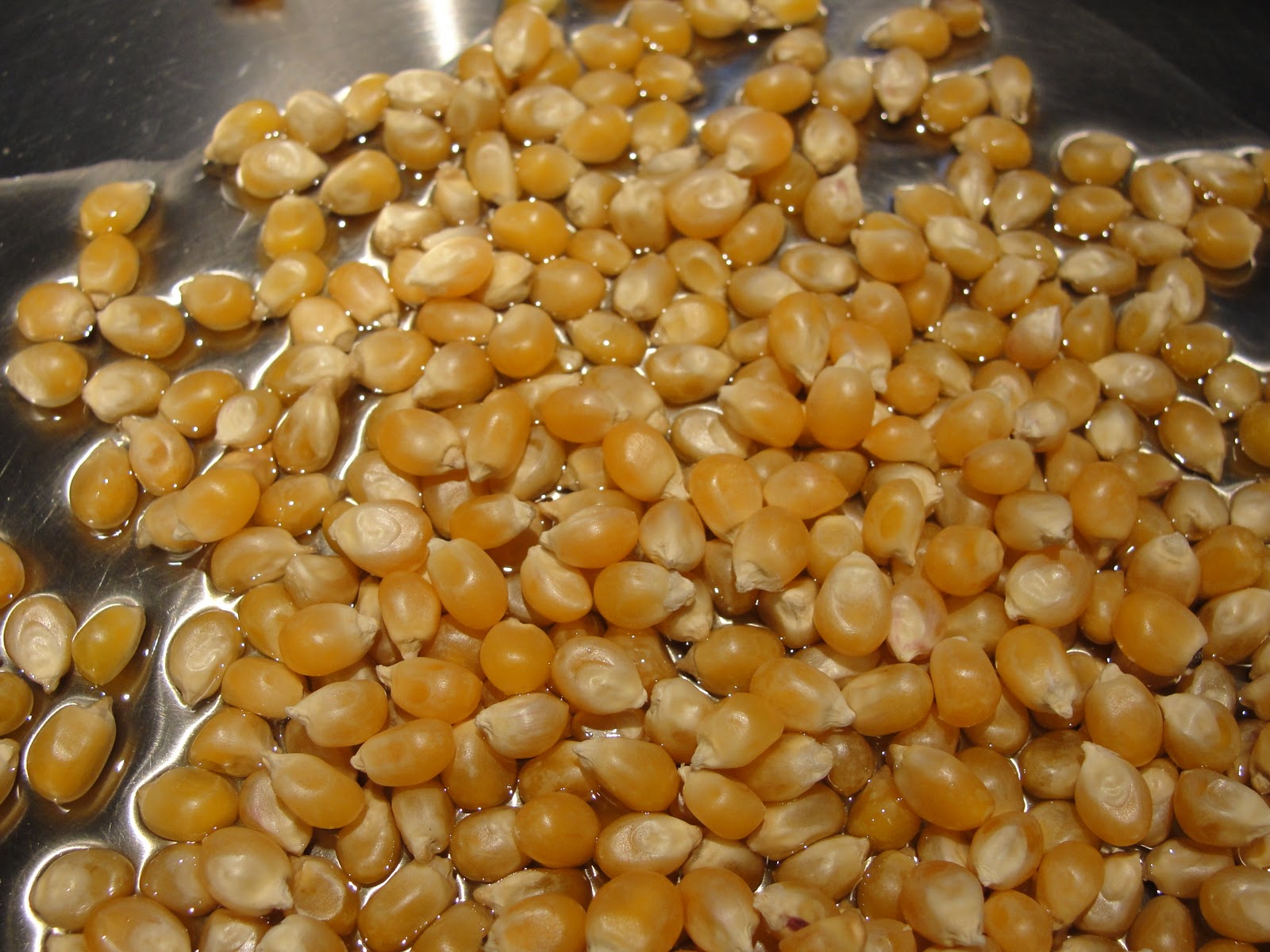 Christmas for Birds How to Make Popcorn Garland for Birds