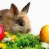 Boa Páscoa! (Happy Easter!)