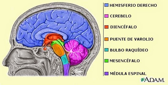 Planeta dos Macacos - Cinema e Pipoca