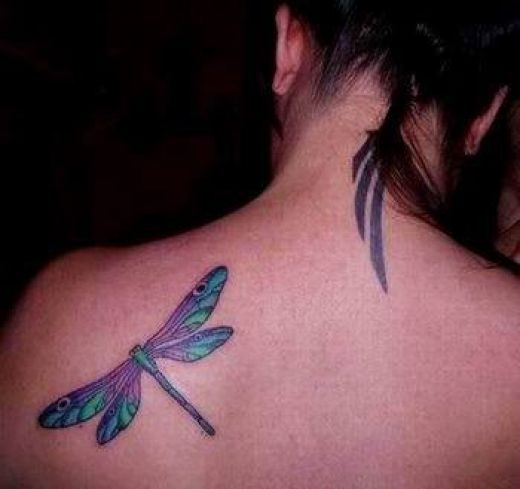 dragonfly tattoo ideas. dragonfly tattoo ideas. Ok so this dragonfly tattoo is; Ok so this dragonfly tattoo is. BeyondCloister. Nov 22, 05:52 AM. What#39;s he banging on about?
