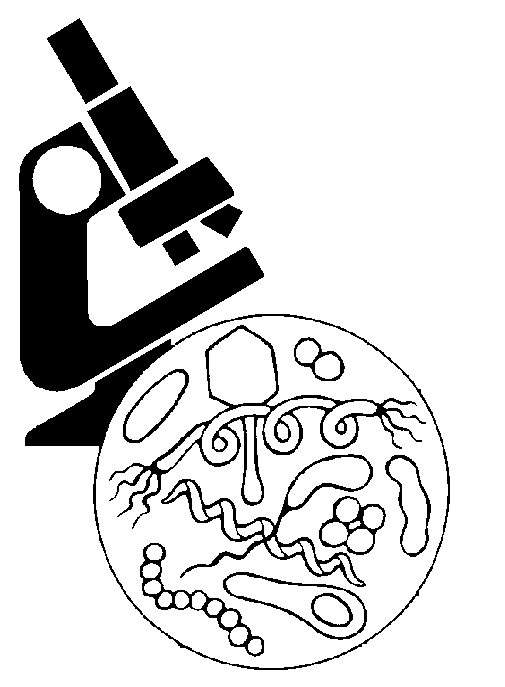 QUINTO GRADO: Microscopio