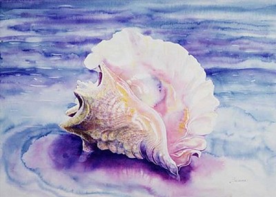 magical conch