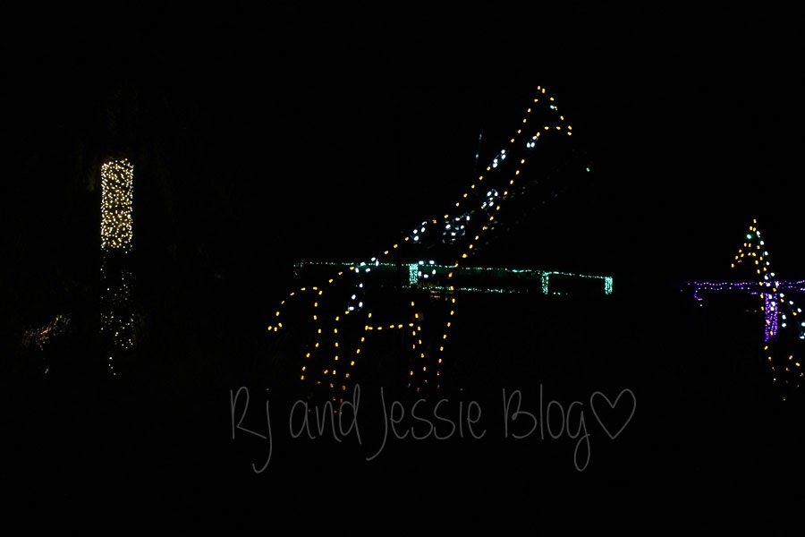 Sunday Snapshot Zoo lights at the Jacksonville zoo