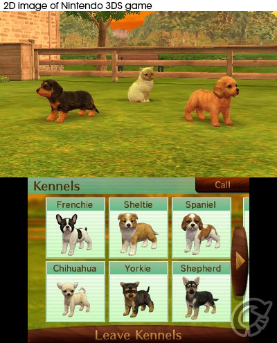 how do you get money on nintendogs and cats 3ds