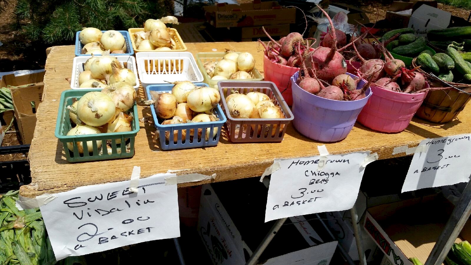 Julie Austine Old Colorado City Farmer's Market