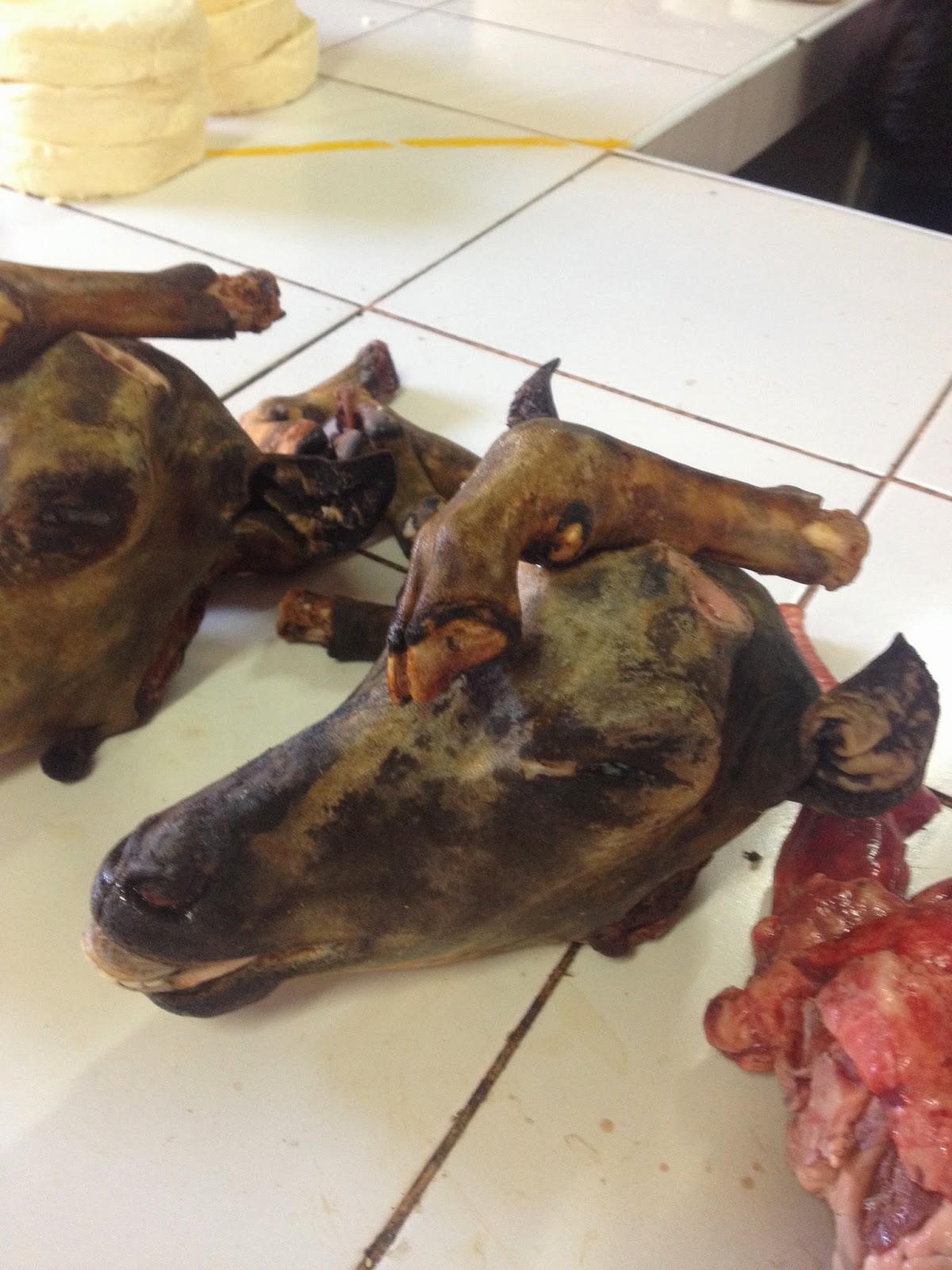 sonntag abend lustig