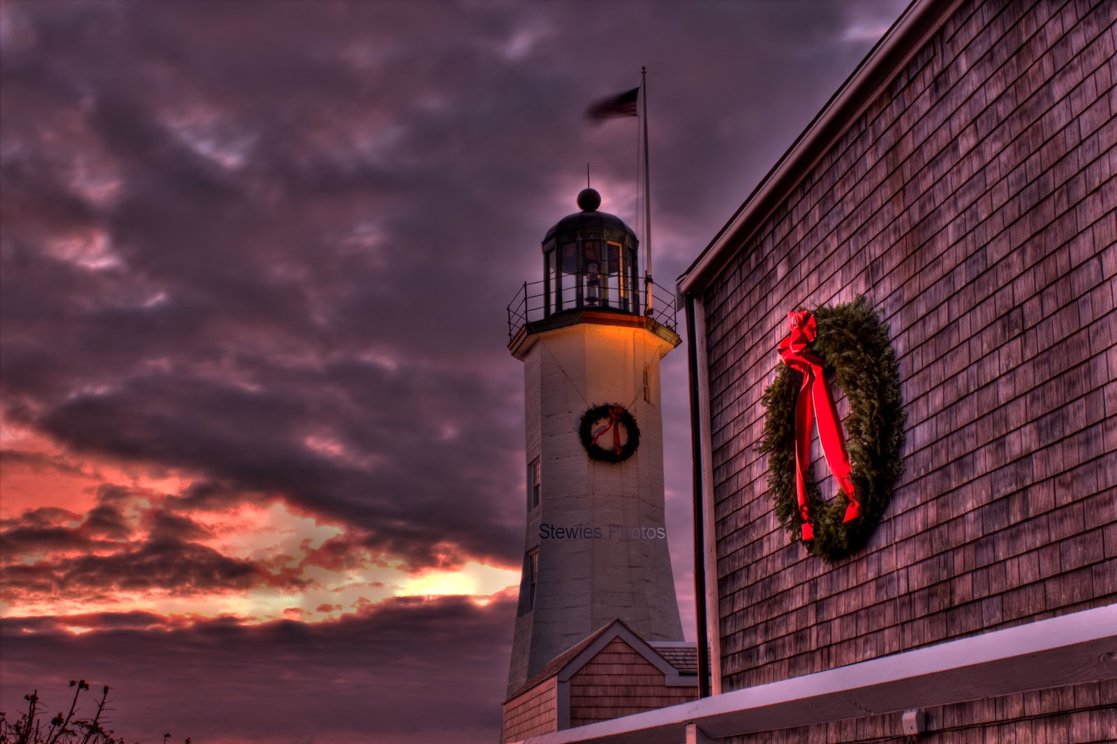 Brian Stewart Photography November 2011