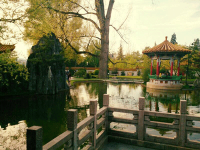 Gartenteich des chinesischen Tempelgartens.