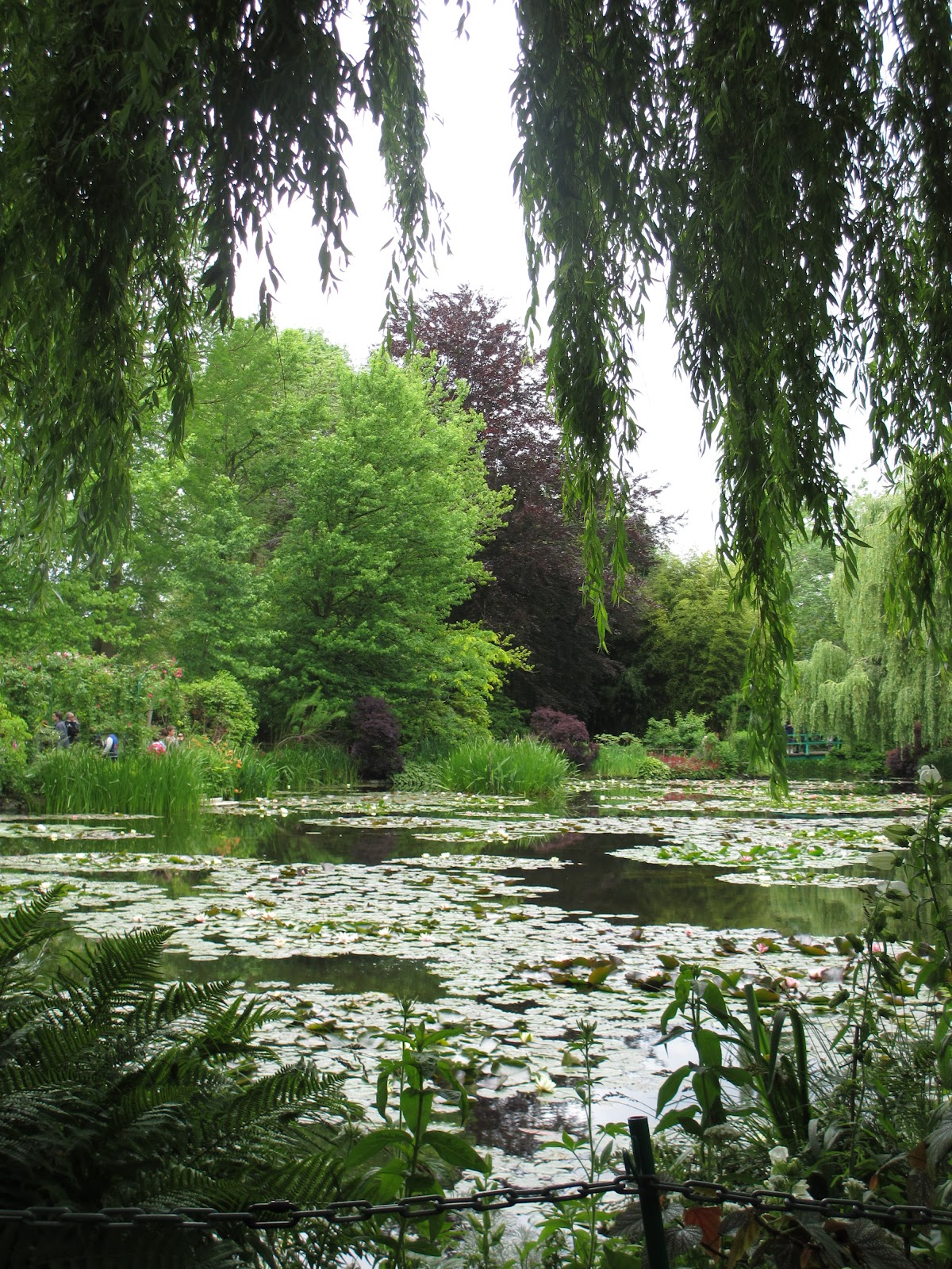 School For Us More photos from gardens"