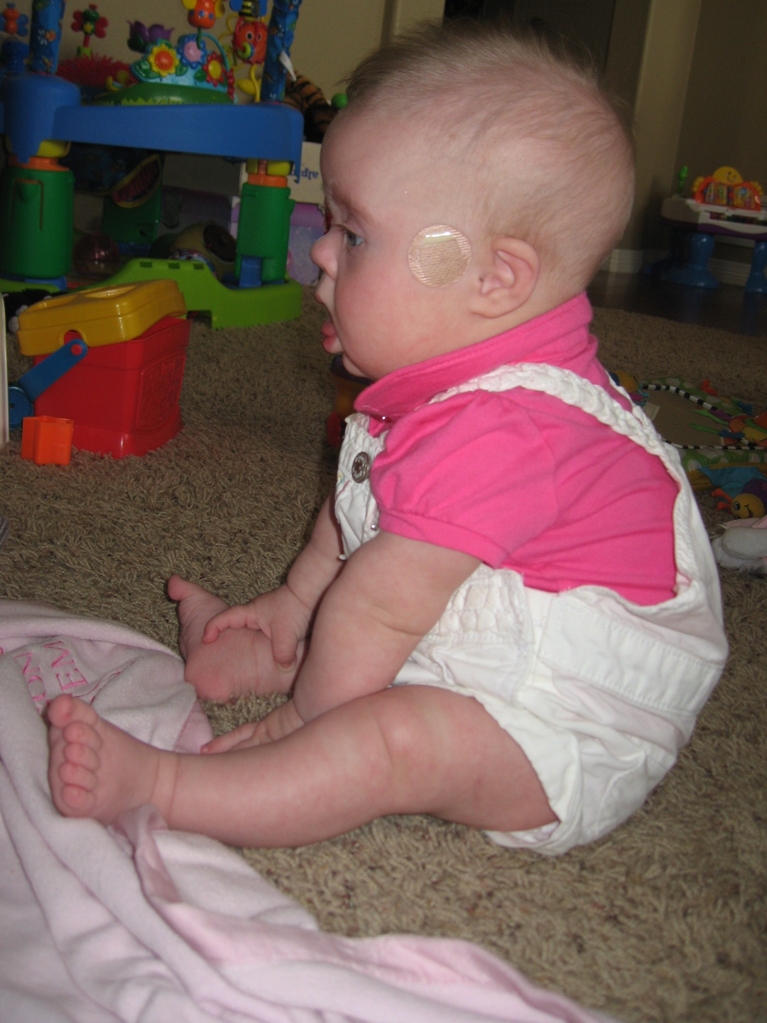 Johannsen's Crazy Life Tripod sitting