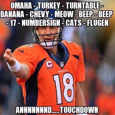 omaha - turkey - turntable - banana - chevy - meow - beep - beep - 17 - numbersign - cats - flugen annnnd.. touchdown