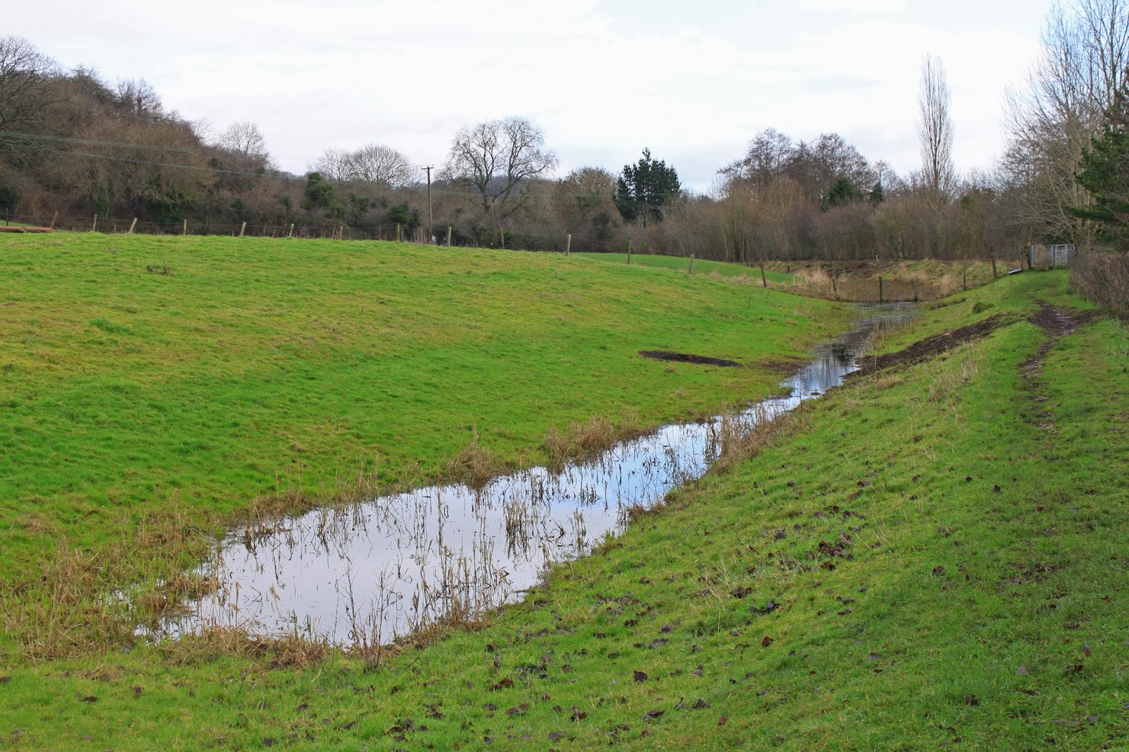 Captain Ahab's Watery Tales Paulton Basin to Radford Mill Somerset Coal Canal