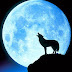 Η νύχτα με το μεγαλύτερο φεγγάρι...