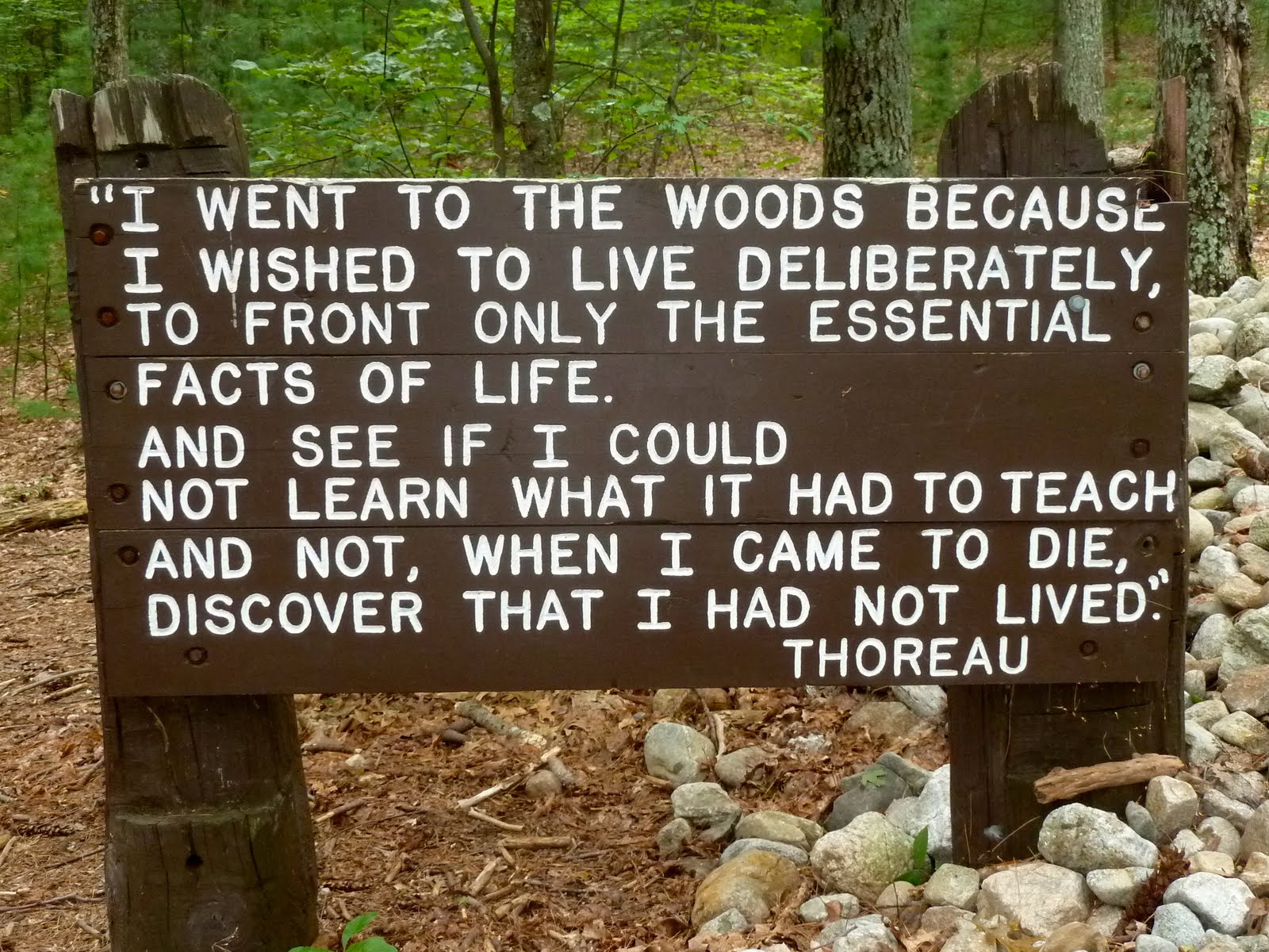ThoreauQuote354.JPG