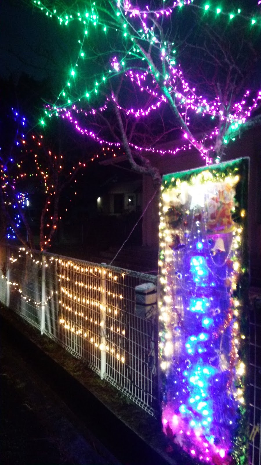 中名田ブログ係 イルミネーションの季節