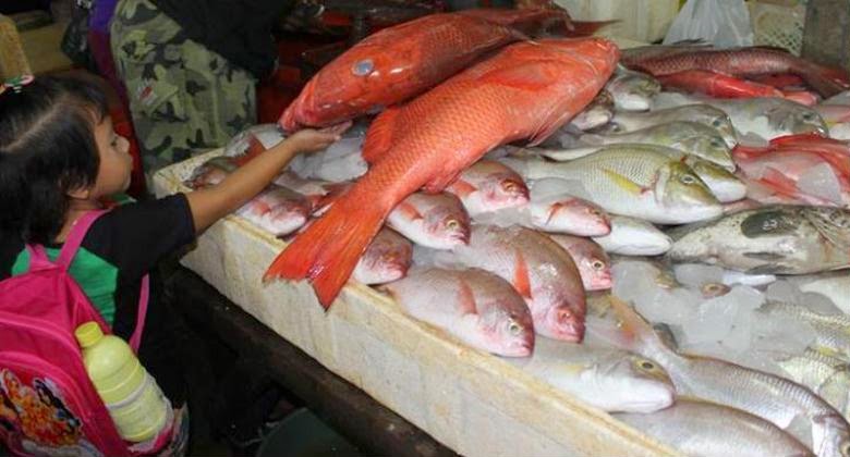 Makanan Enak Ikan Bakar Segar Ala Pasar Kedonganan