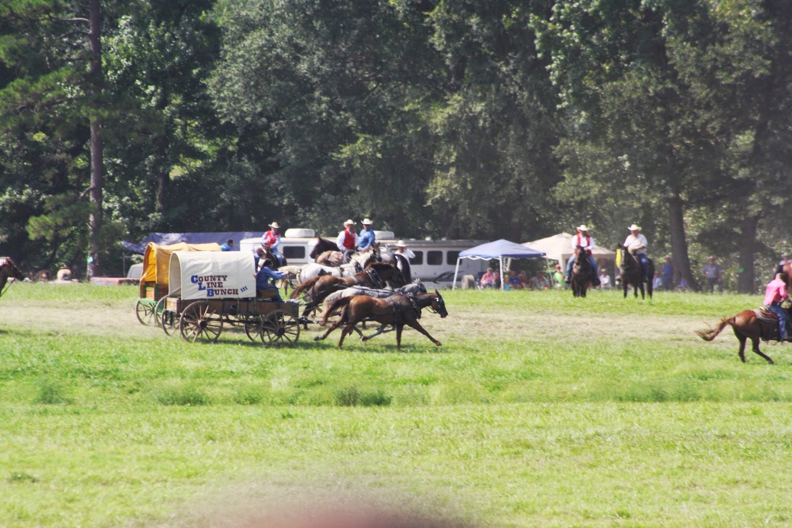 PairADice Mules National Champion Chuckwagon Races Clinton, AR