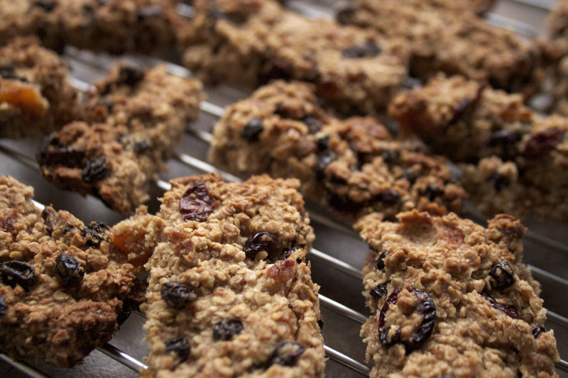 Big Little Chewy CranberryApricot Muesli Bars