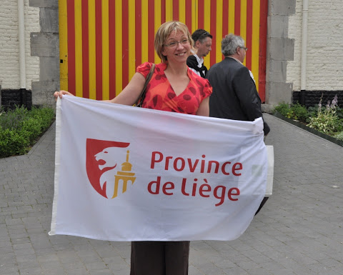 2012: Province de Liège - Elections