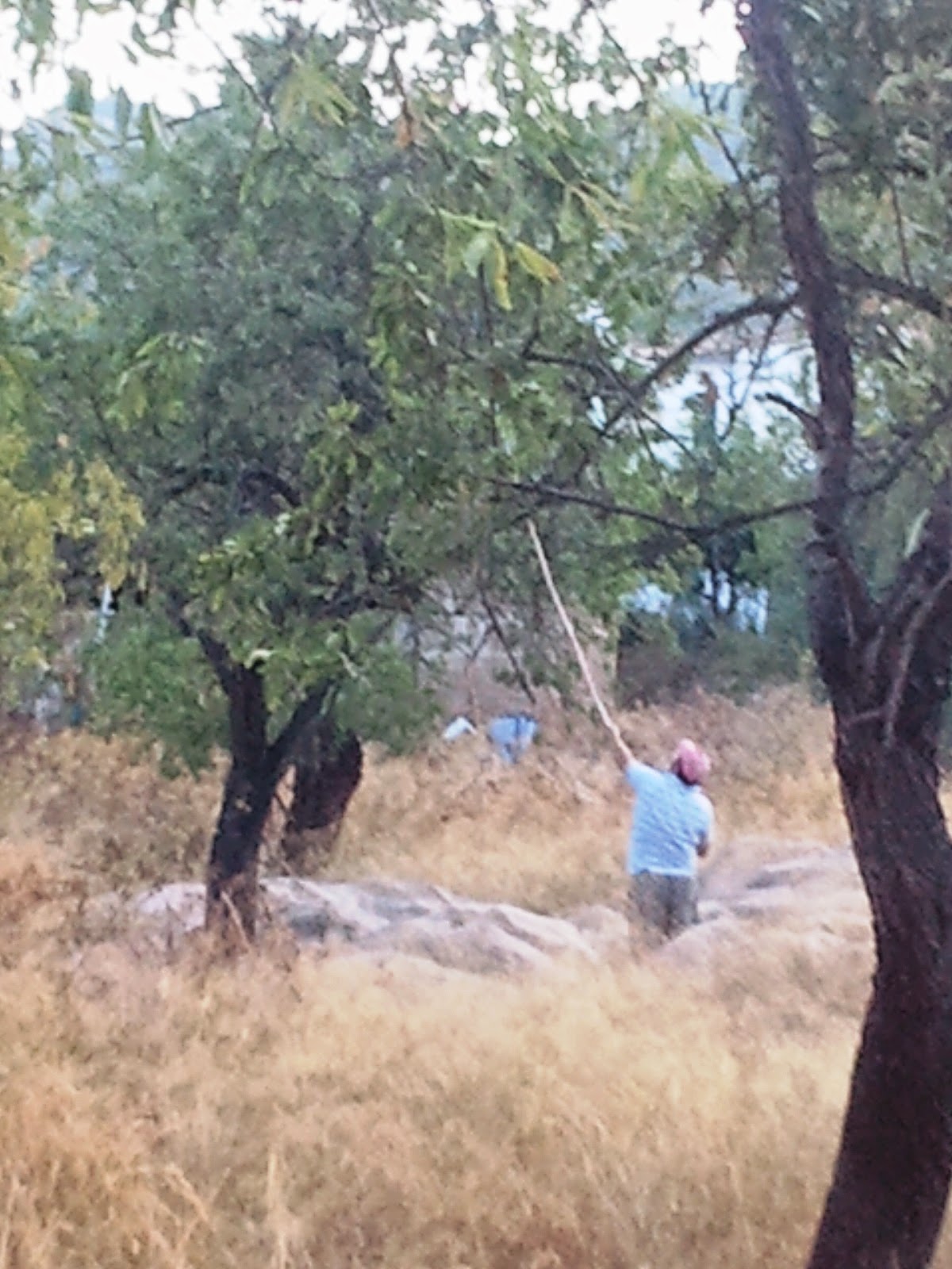 Namida Magazin Der Preis Der Wiedervereinigung