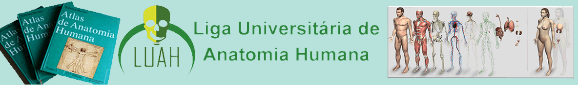 Liga Universitária de Anatomia Humana - LUAH