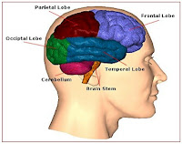 Brain Jack Image: กรกฎาคม 2013