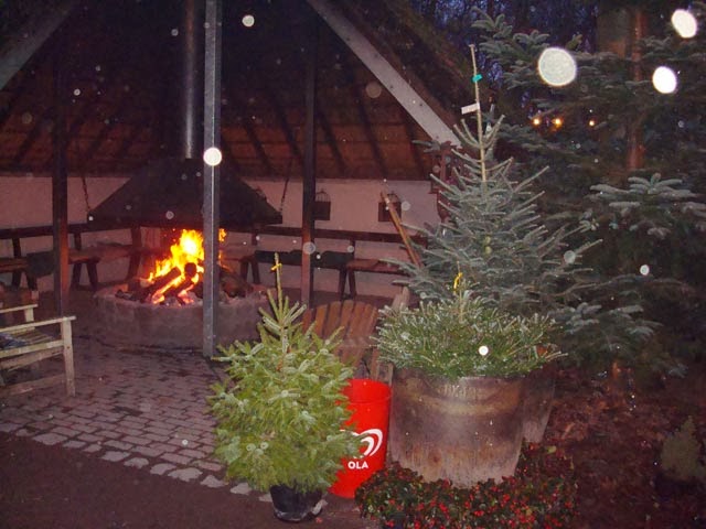 Haardvuur in het Kerstbomenbos