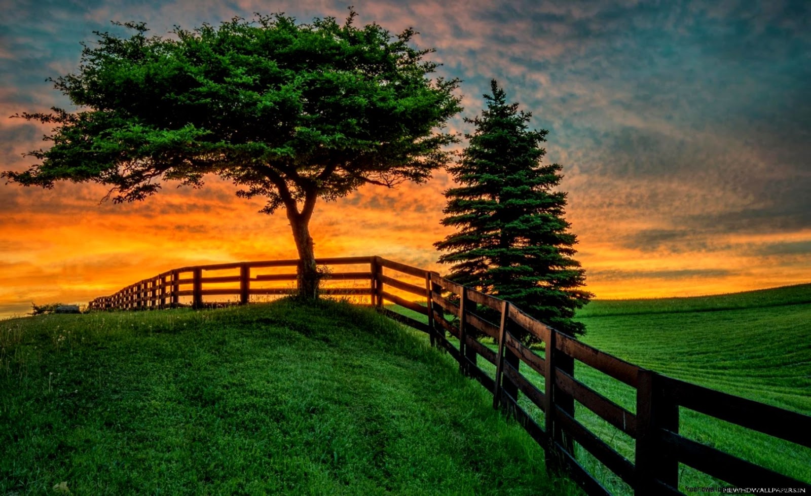 Summer Fence Desktop Wallpaper Summer Fence Desktop Wallpaper