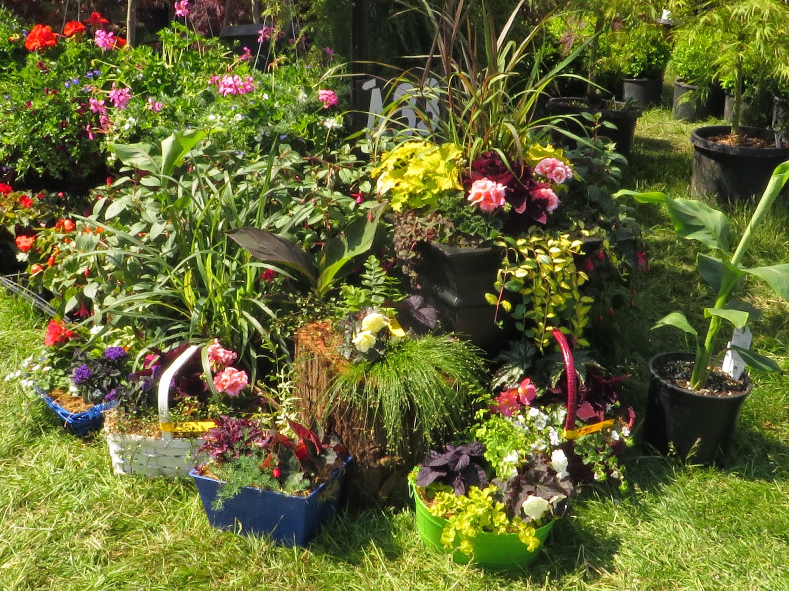 Canby Spring Garden Fair