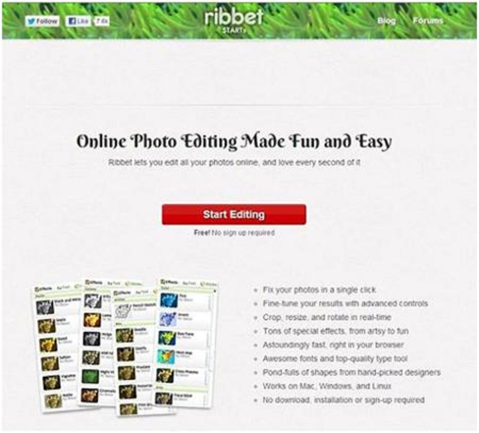 RIBBET - PICTURE EDITOR