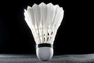 shuttlecock aw
