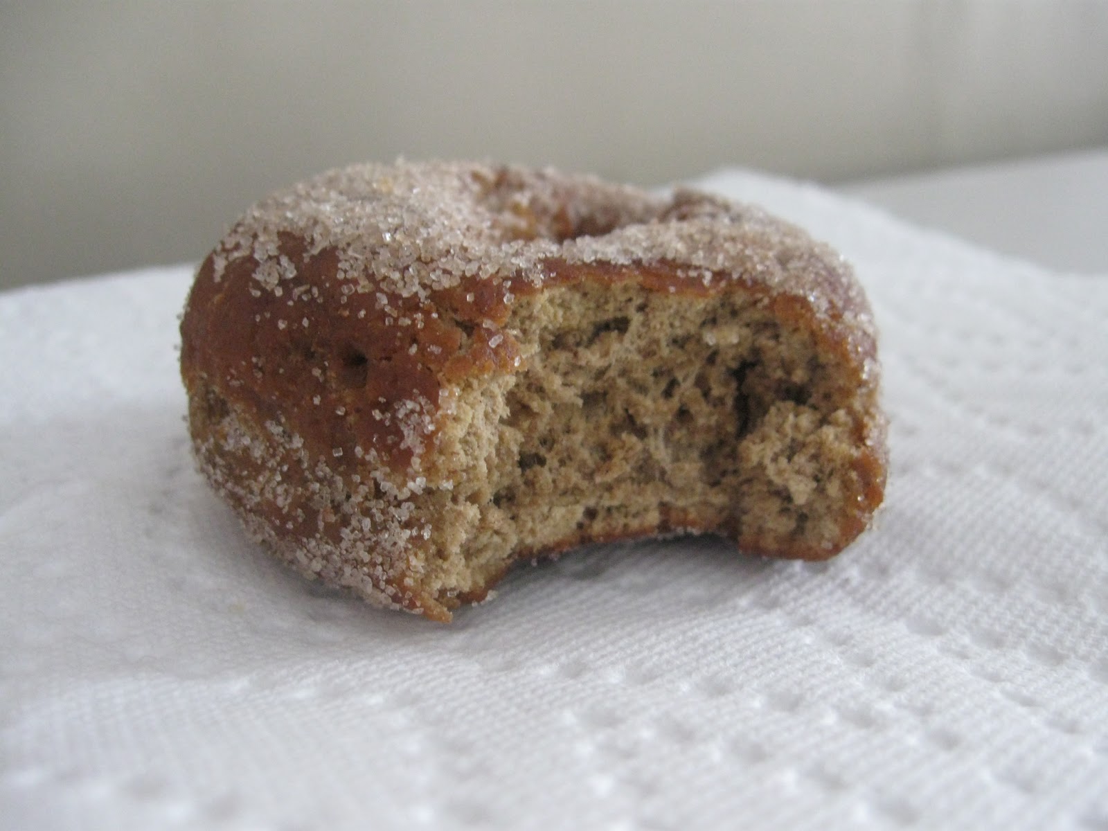Snozzberry Pie Molasses Doughnuts