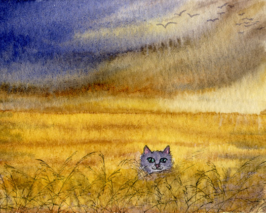 Cat Wish