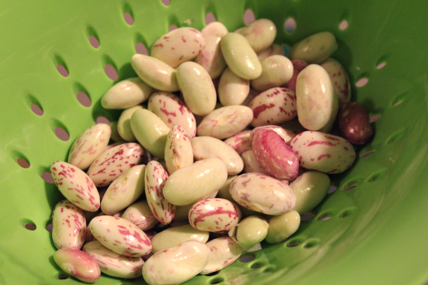 fooding Try me Cranberry Beans