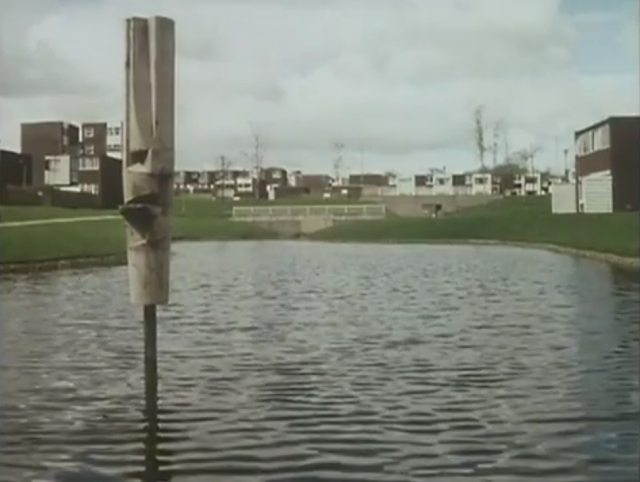 Sunny Blunts Peterlee