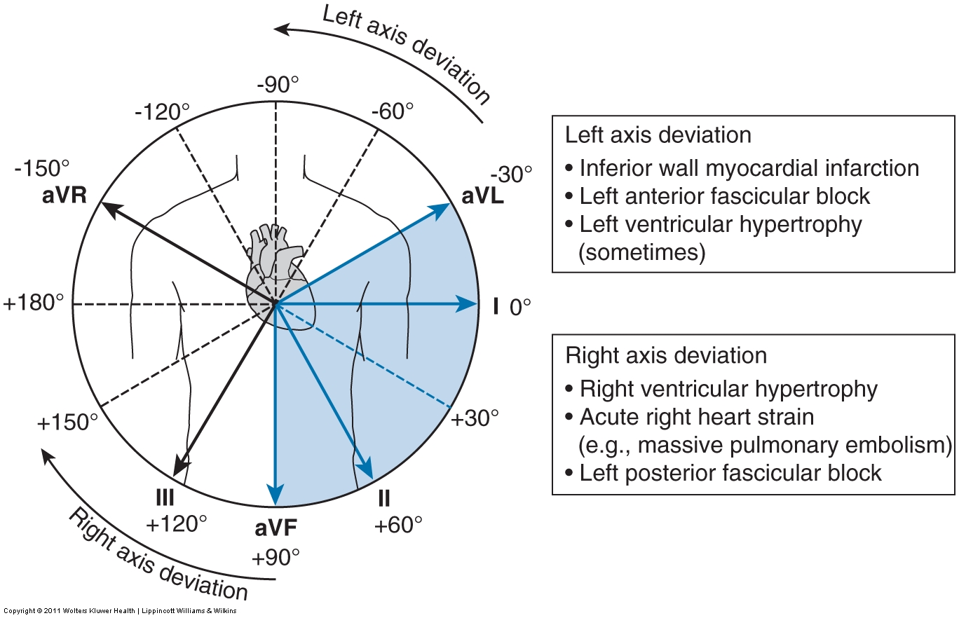 Tutor's Notes general, cardiovascular, respiratory and renal