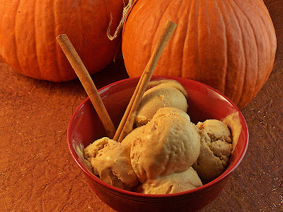 Pumpkin Spice Ice Cream by Cravings of a Lunatic