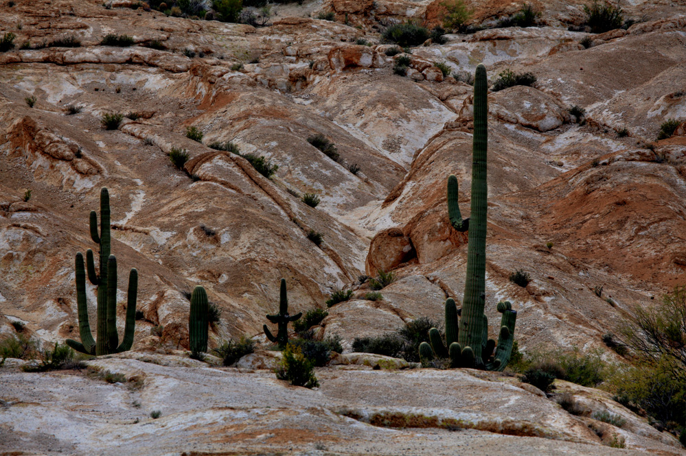 John and Aileen on the road January 2012