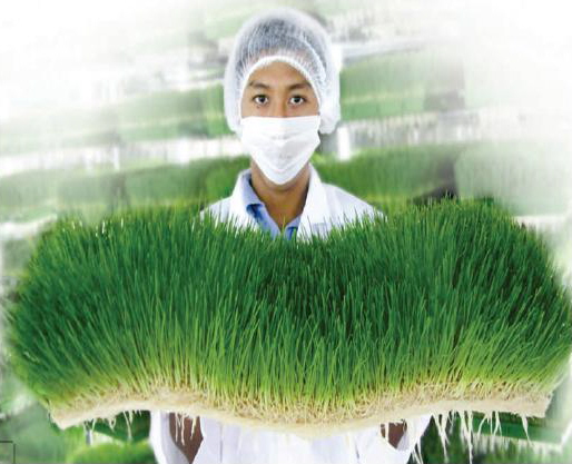 شبكة فلسطين للحوار