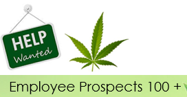 employee Prospect