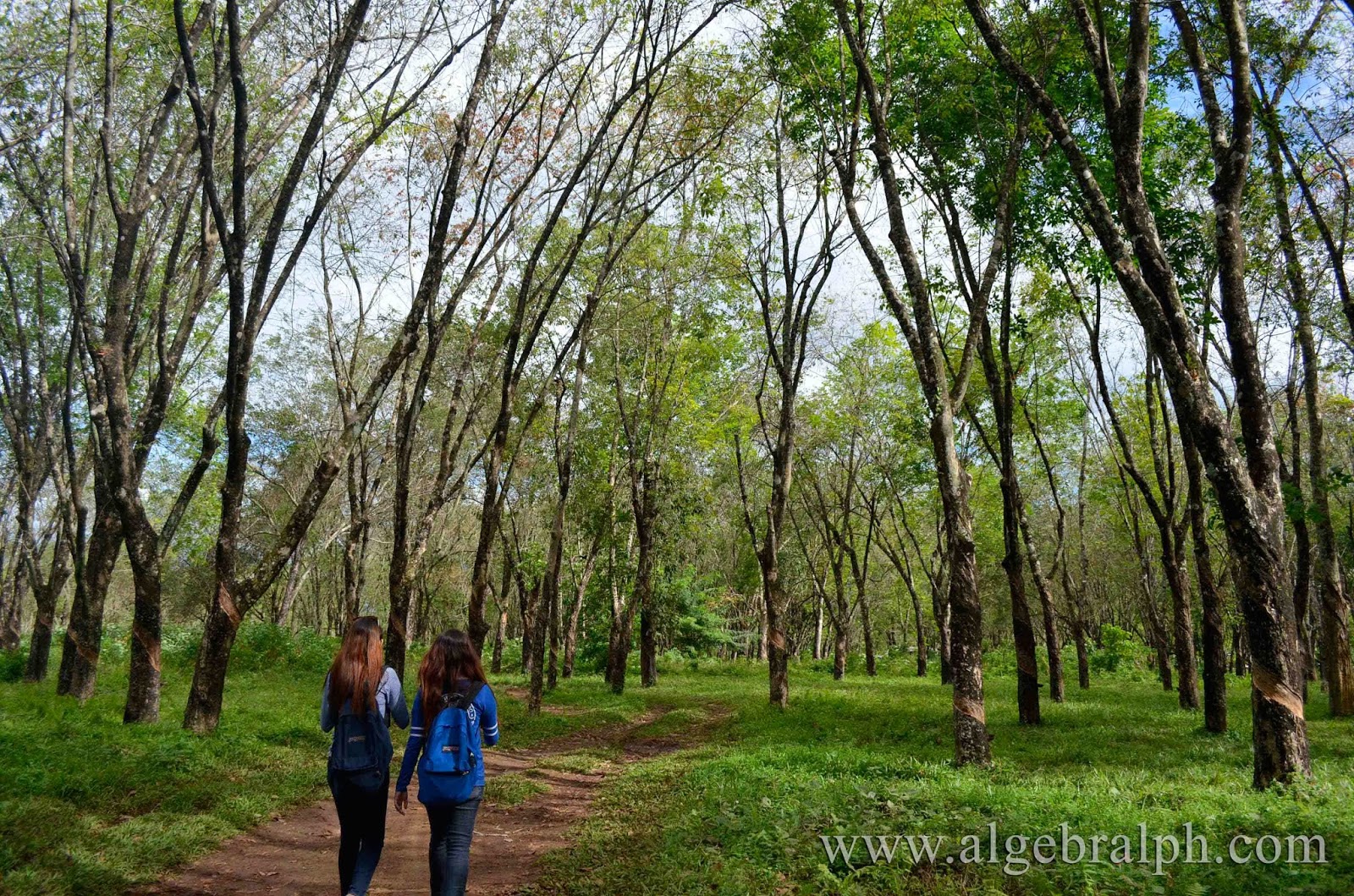 Maramag Bukidnon Discover the Unexpected Algebralph