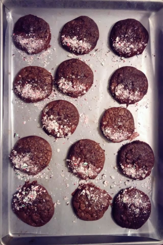 Salted Dark Chocolate Truffle Cookies Cupcake Boom
