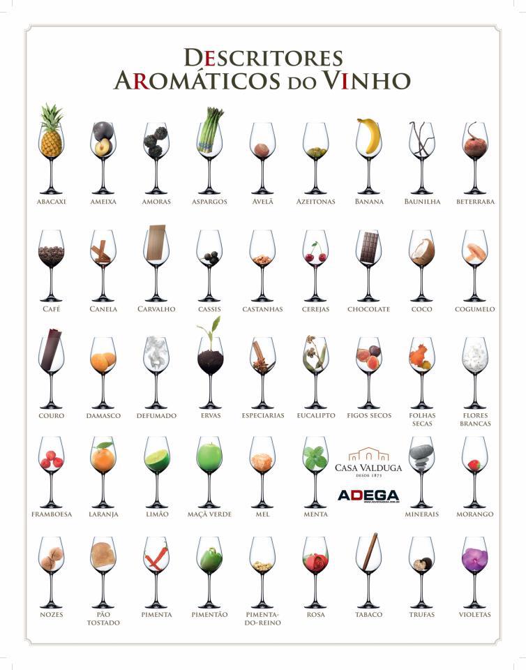 Vinhos de Minha Vida Descritores Aromáticos do Vinho